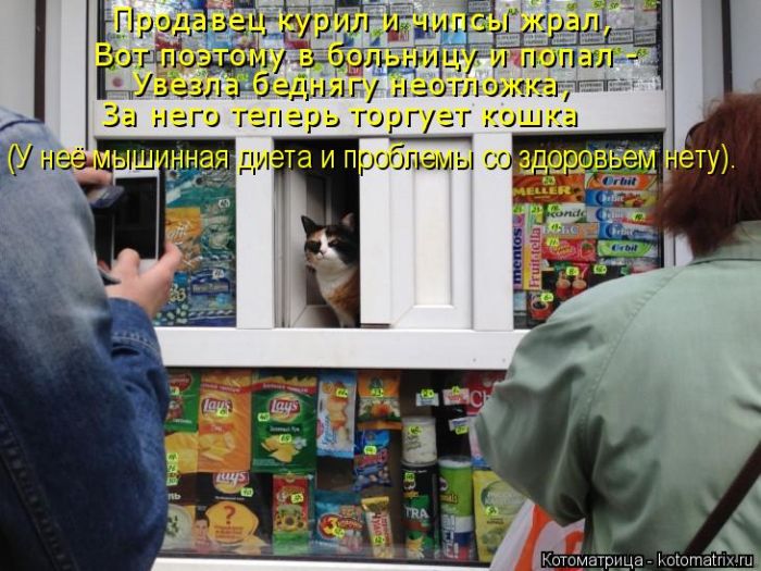 Лучшие котоматрицы недели