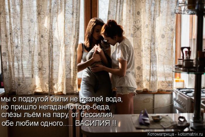 Лучшие котоматрицы недели
