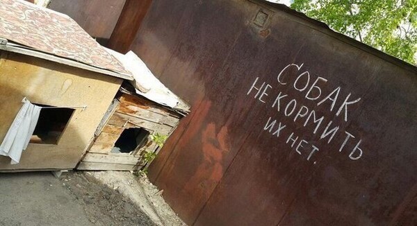 Чудики из социальных сетей