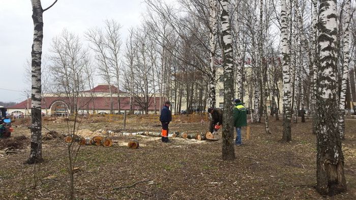 В Сергиевом Посаде срубили Рощу Победы, высаженную ветеранами