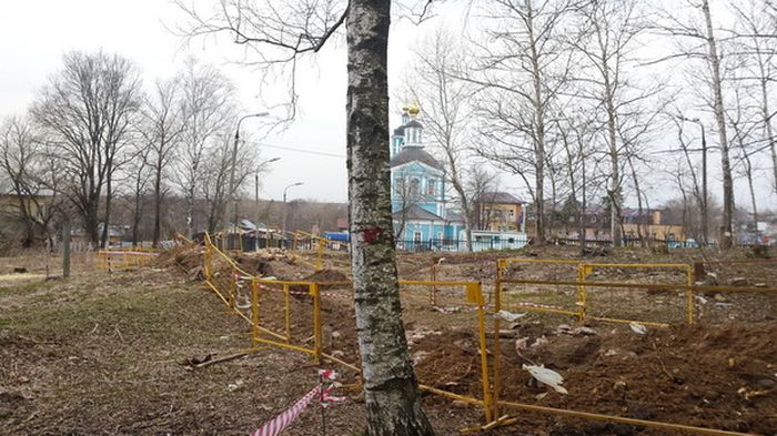 В Сергиевом Посаде срубили Рощу Победы, высаженную ветеранами