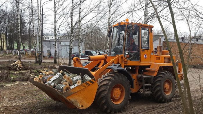 В Сергиевом Посаде срубили Рощу Победы, высаженную ветеранами