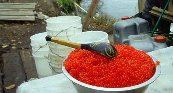 Жизнь на Магадане