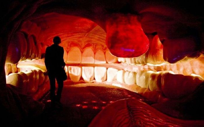 6 самых шокирующих анатомических музеев мира 6 самых шокирующих анатомических музеев мира