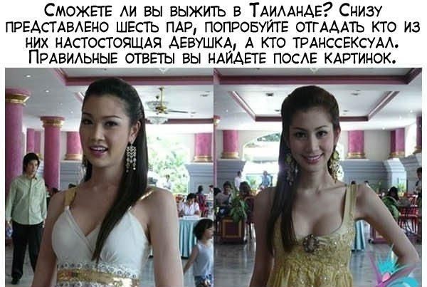 Найди транссексуала (2 фото)