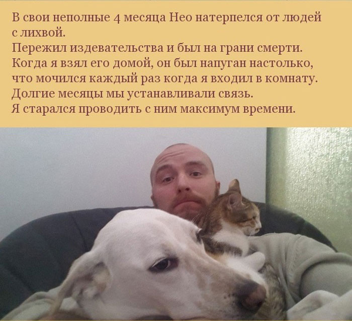 Как пес отплатил своему хозяину за спасение — 'Трудно сказать, что бы случилось, если бы не он'