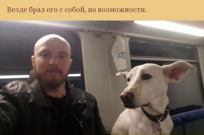 Как пес отплатил своему хозяину за спасение — 'Трудно сказать, что бы случилось, если бы не он'