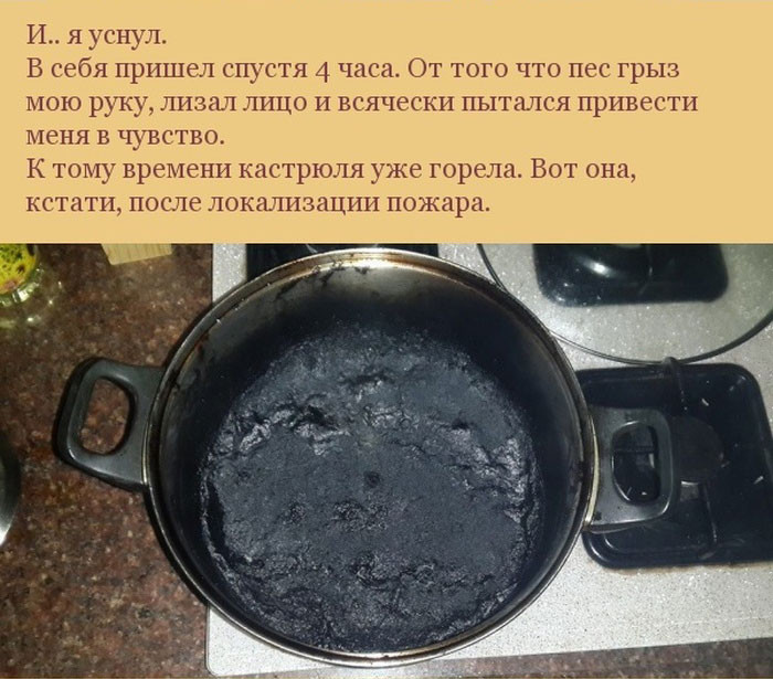 Как пес отплатил своему хозяину за спасение — 'Трудно сказать, что бы случилось, если бы не он'