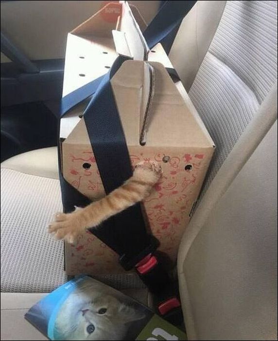 Автомобильный юмор