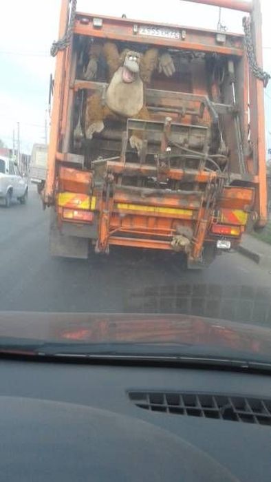 Автомобильный юмор