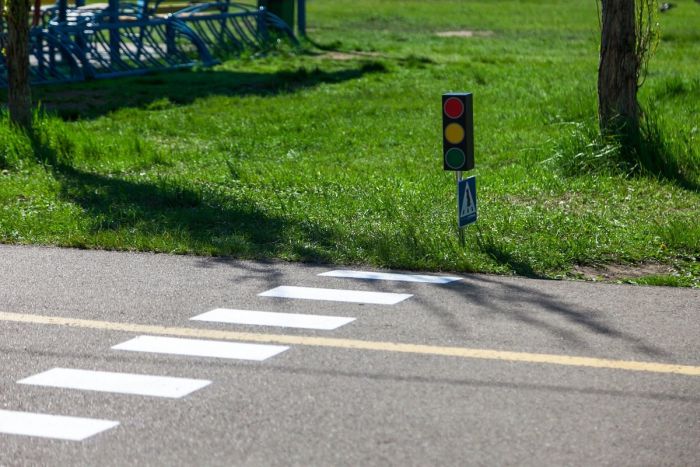 В Красноярске появился пешеходный переход для сусликов