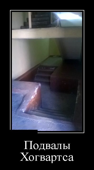 Демотиваторы