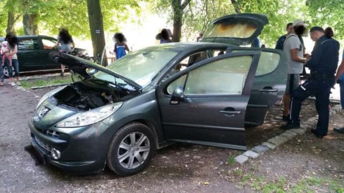 Любитель шашлыка едва не спалил автомобиль