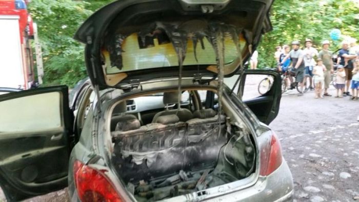 Любитель шашлыка едва не спалил автомобиль