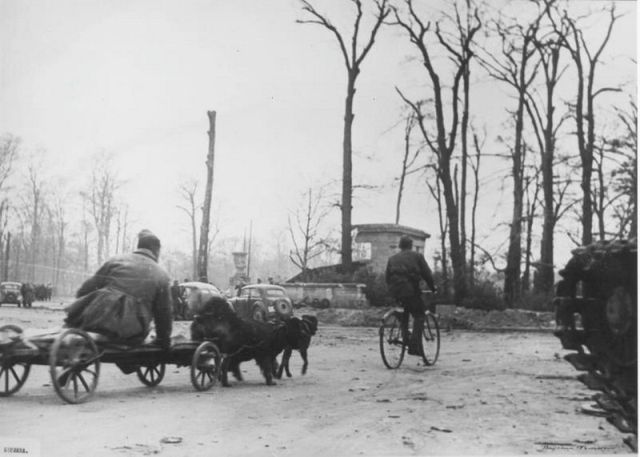 Война глазами советского фотографа Валерия Фаминского