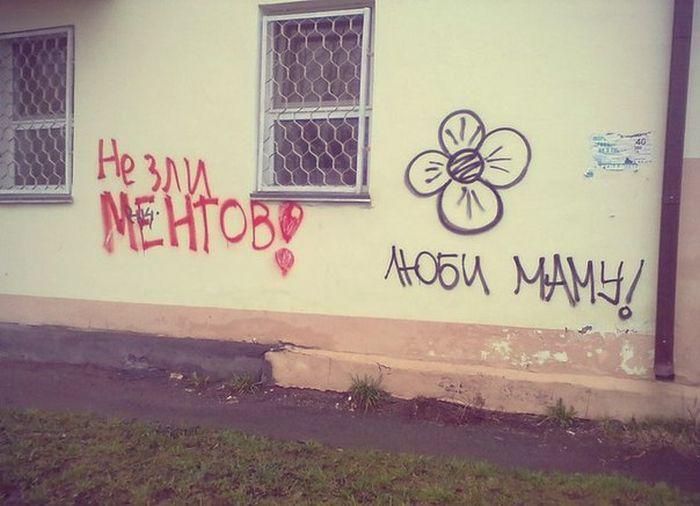 Прикольные картинки
