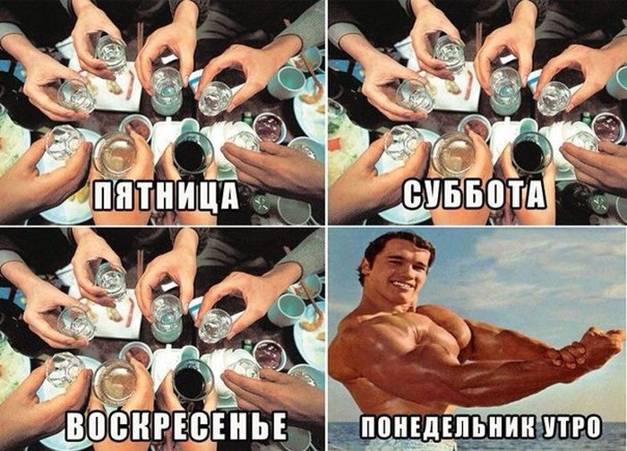Прикольные картинки