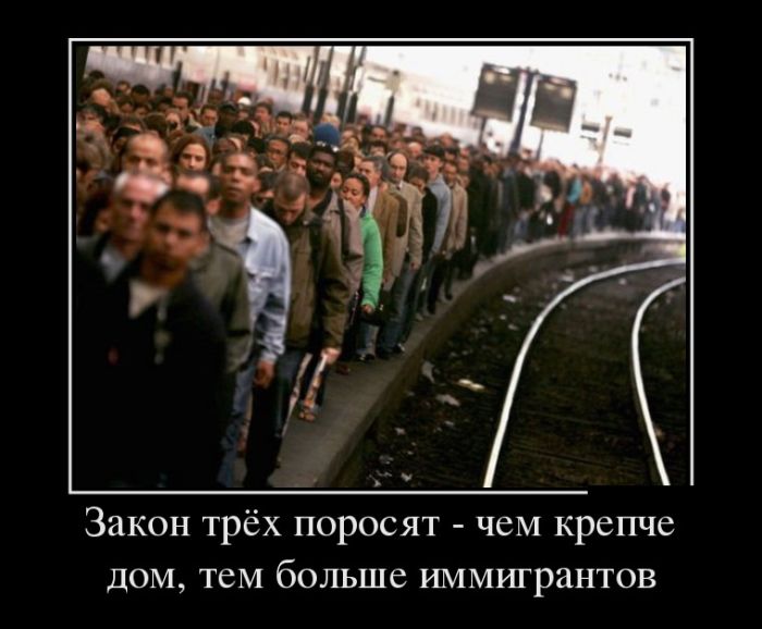 Демотиваторы
