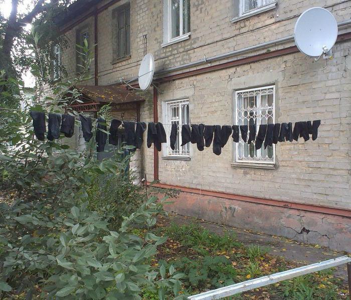 Сосед соседу друг