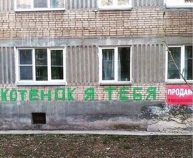 Прикольные картинки