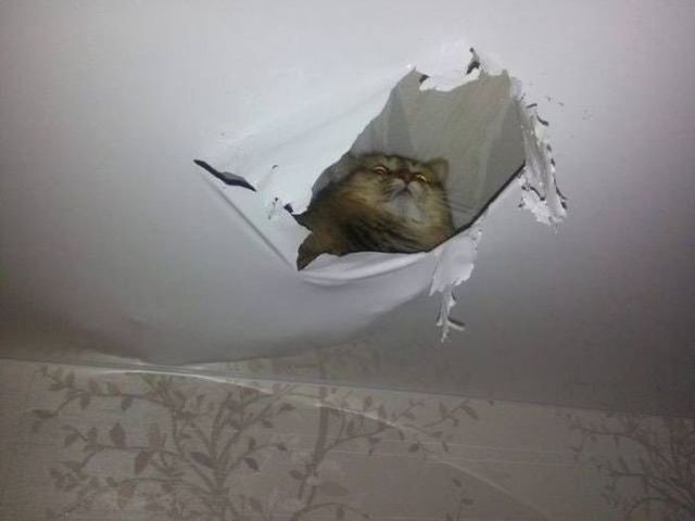 Когда день не задался