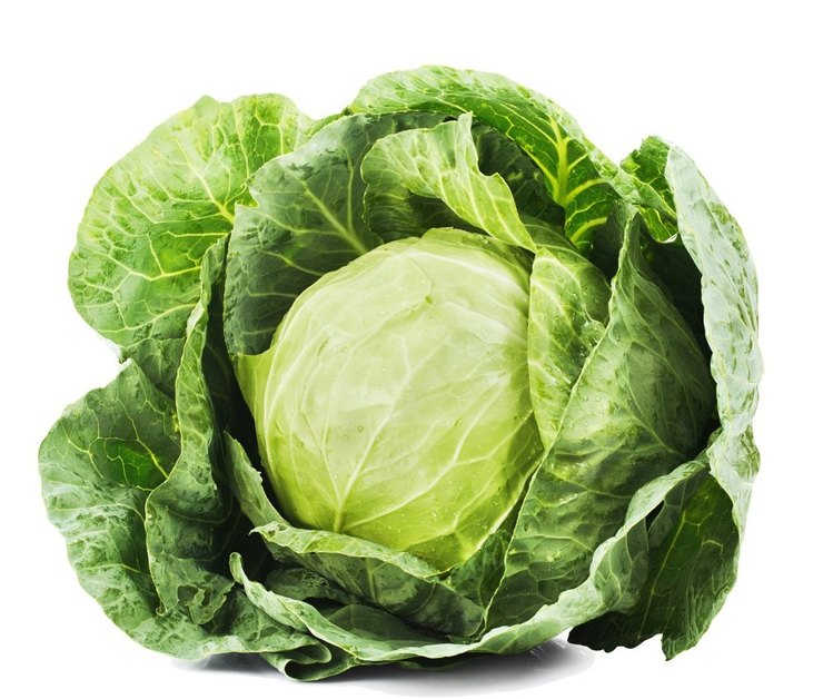 Какие продукты богаты витамином А Какие продукты богаты витамином А