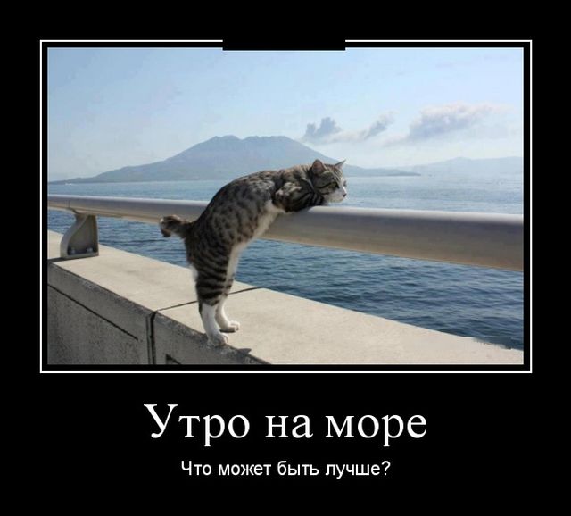 Демотиваторы