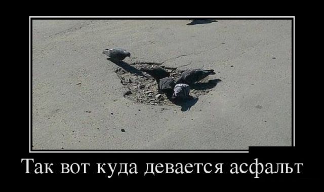 Демотиваторы