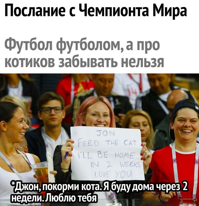 Прикольные картинки