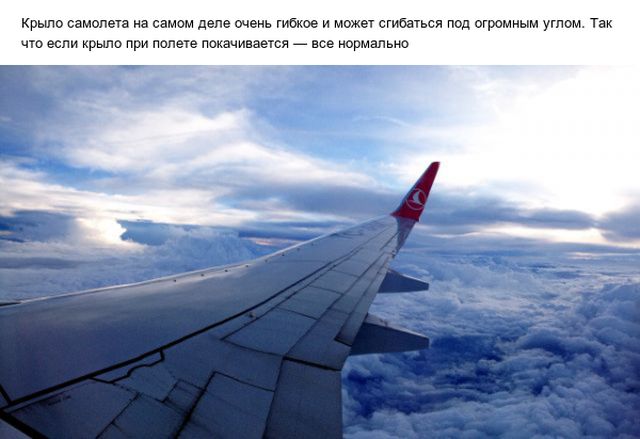 Познавательные факты о полетах на самолетах