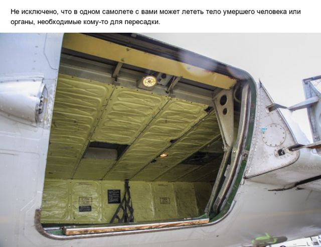 Познавательные факты о полетах на самолетах