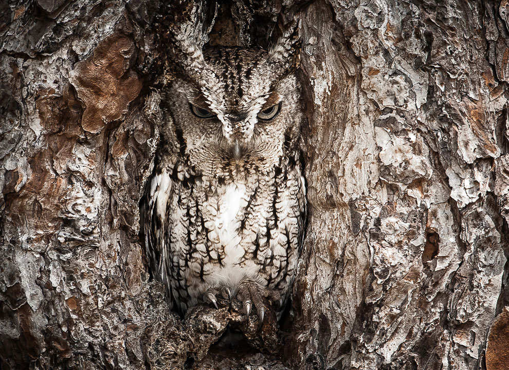 Победители конкурса National Geographic Traveler 2013