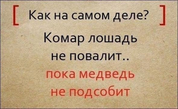 Полные варианты известных поговорок