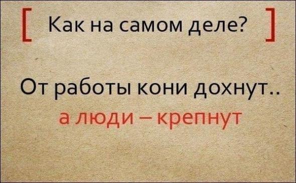 Полные варианты известных поговорок