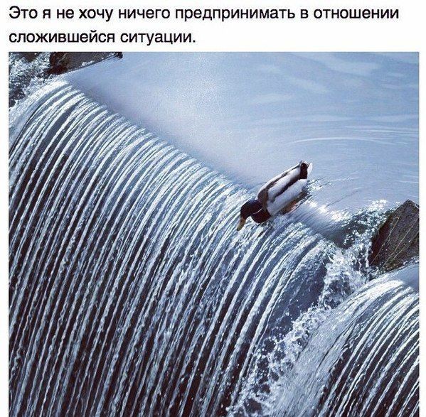 Порция картинок