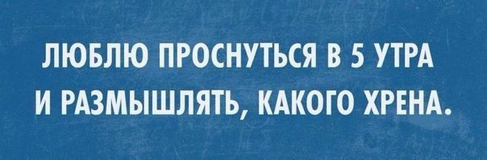 Порция картинок