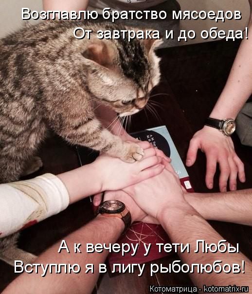 Лучшие котоматрицы недели