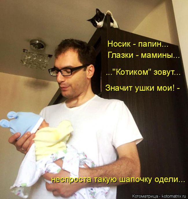 Лучшие котоматрицы недели
