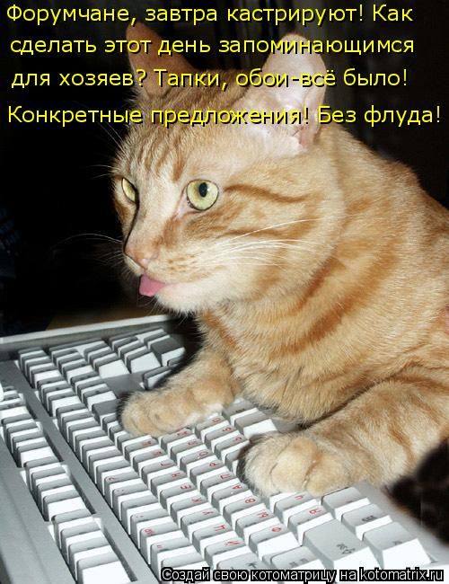 Лучшие котоматрицы недели