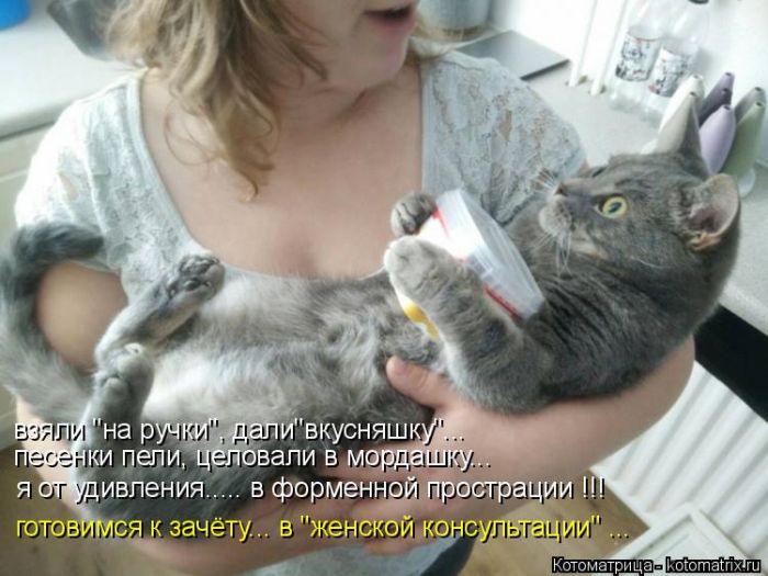 Лучшие котоматрицы недели