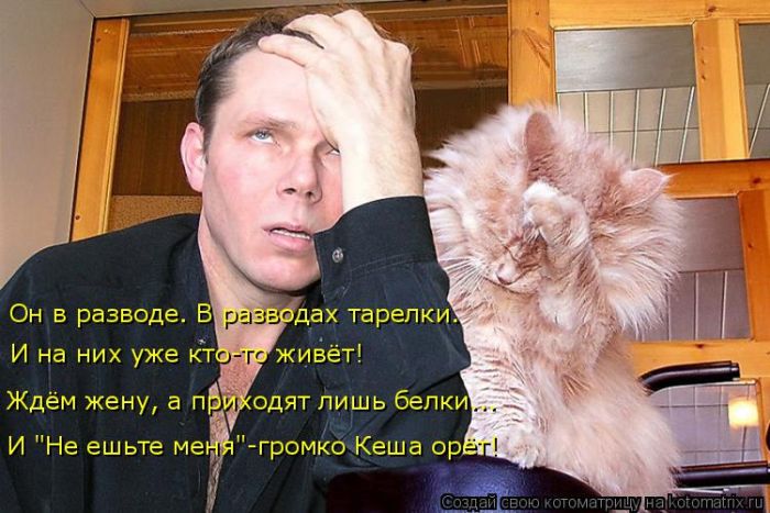 Лучшие котоматрицы недели