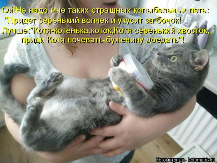 Лучшие котоматрицы недели