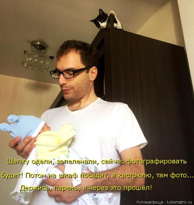 Лучшие котоматрицы недели