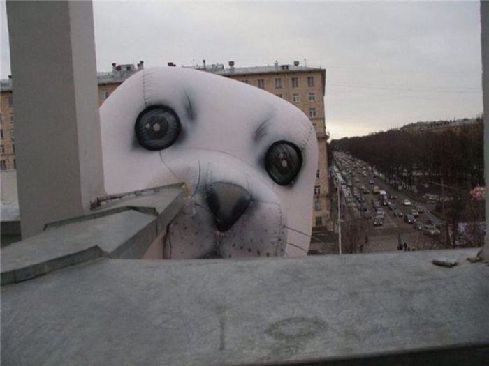 Прикольные картинки