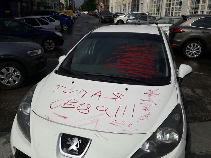 Прикольные картинки