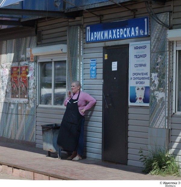 Прикольные картинки