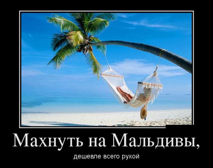Демотиваторы Демотиваторы