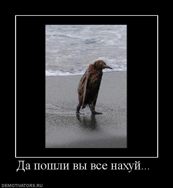 Демотиваторы  (69 фото)