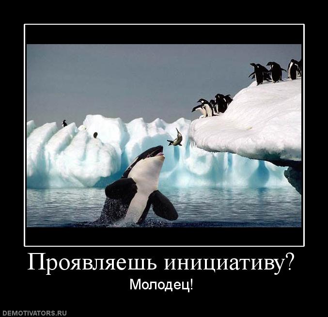 Демотиваторы  (69 фото)