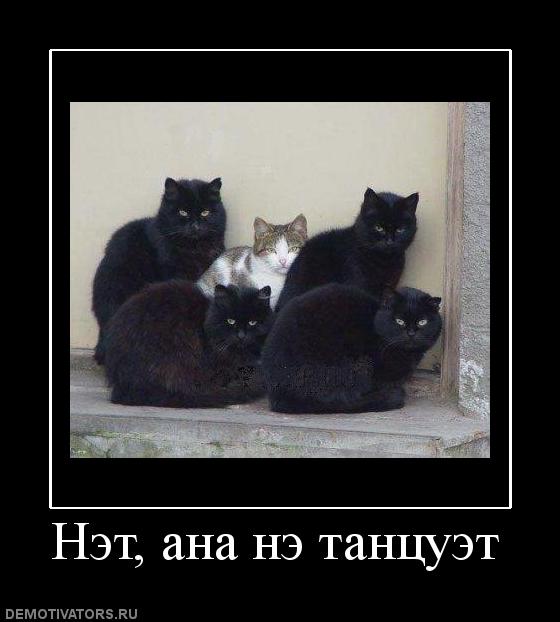 Демотиваторы  (69 фото)